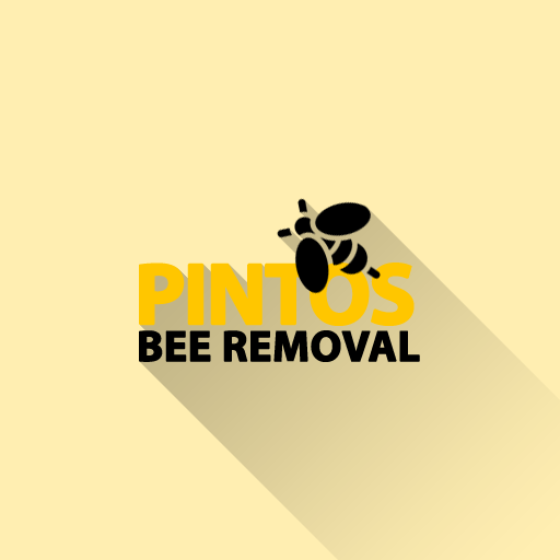 Pintos Bee Removal